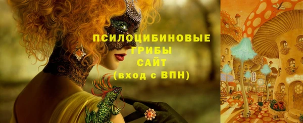 ГАЛЛЮЦИНОГЕННЫЕ ГРИБЫ Алексеевка