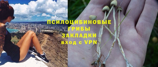 прущая мука Абаза