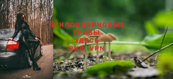 ГАЛЛЮЦИНОГЕННЫЕ ГРИБЫ Алексеевка