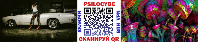 Галлюциногенные грибы мицелий купить mega зеркало Туран
